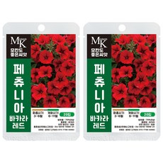 모칸도 좋은씨앗 페츄니아 씨앗 레드 20립 꽃씨 꽃씨앗, 2개