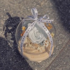 DAY OFF 永生小圓球夜燈 永生玫瑰 玻璃鐘罩 情人節禮物 乾燥花 交換禮物, 蔚藍晴空