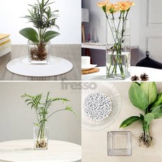 에잇룸 유리 사각 화병 10x10x20 인테리어꽃병