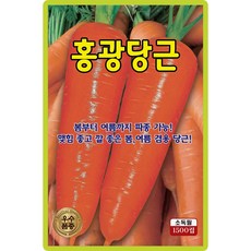산들마켓 홍광당근 씨앗 1500립 봄부터 여름까지 파종가능한 우수 품종, 1개