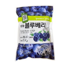 냉동 블루베리 2팩 (1kg*2팩), 1개, 2kg
