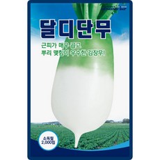 산들마켓 달디단무 씨앗 2000립 가을 저장용 김장무씨 종자, 1개