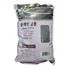 월드그린 블랙렌틸콩, 5kg, 1개