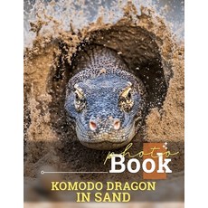 (영문도서) Komodo Dragon In Sand Photo Book: Explore The Unique Habitat Of The Komodo Drag... Paperback, Independently Published, English, 9798302267641