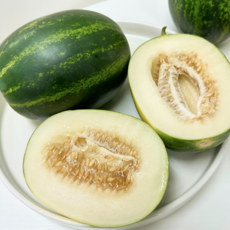 [오픈특가] 고당도 프리미엄 파파야 메론, 1박스, 2kg