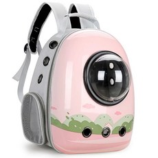 고양이 강아지 대용량 가방 케이지 애견 휴대용 이동장 팩 애묘, P. 업그드 측면 개방형 그