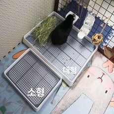대형 토끼화장실 기니피그, 스몰 스퀘어 38x31x6.5cm, 1개, 1g