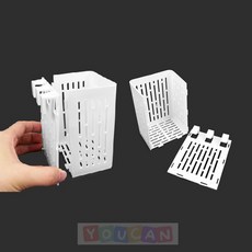 수경재배 화분 콩나물