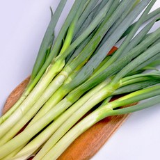 농협 국내산 신선 대파 2kg