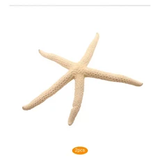 자연 5-12cm 10-12cm 흰색 손가락 불가사리 바다 세련된 홈 헤어 웨딩 장식 및 공예 프로젝트, 06 10 12cm 2pcs, 01 China Mainland