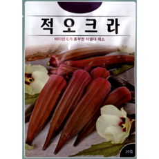 KS종묘 적오크라 씨앗 20립 레드버건디 ks, 1개