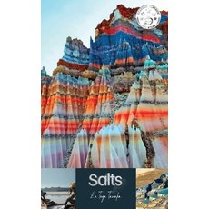 (영문도서)Salts Paperback, Harvard Square Editions, English, 9781947386037