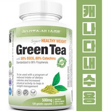 녹차추출물 다이어트 녹차 카테킨 하루1정 1통120캡슐 4개월분 캐나다직배송, 1개, 120정