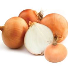 (황토보석) 무안 흰 햇 양파, 1개, 햇 양파  5kg 중대혼합