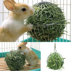 건초볼 건초렉 토끼 기니피그 건초통 급식기