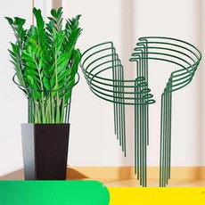 호접란 버팀목 식물 지지대 난초 화분 고정용 지주대, 2. 반원 W21xH35 4개, 그린