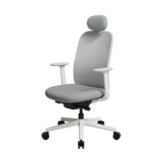 【SIDIZ】T20 網背人體工學椅(辦公椅 電腦椅 人體工學椅), 都會灰