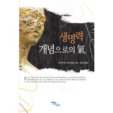 IdamBooks 作為生命力概念的氣, MANFRED KUBNY 著/金裕成 譯