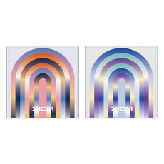 엑시옴(XIOM) 공식 본사 직영 페카 E O-FOIL 러버 보호 필름, 1세트 1세트