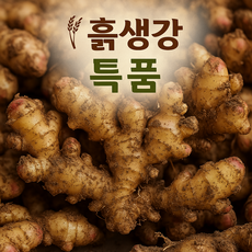 [온곳간] 경북 흙생강 특품 / 생강청 생강차 편강용 프리미엄 / 국산 생강, 1박스, 1kg