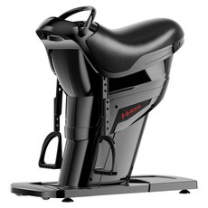 다이어트 승마머신 유산소 운동기구 실내 피트니스 체중감량 홈트 뱃살빼기 라이딩 헬스, 블랙