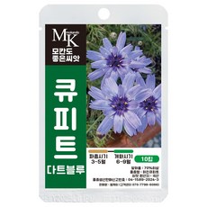 모칸도 좋은씨앗 큐피트 씨앗 다트블루 10립 꽃씨 꽃씨앗, 1개