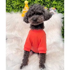 패션스타트 패턴인 P1722 강아지 애견 옷 맨투맨 만들기 펫 의상 도안 옷본, 1개