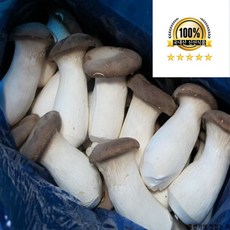 국내산 새송이버섯 실속형 못난이 새송이버섯, 1개, 못난이새송이 4kg