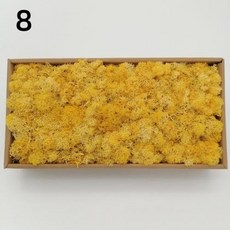 DIY 인공 녹색 식물 영원한 집 거실 정원 미니어처 가짜 잔디 200g, 8)10g, 8