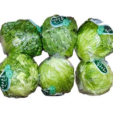 국내산 포장 양상추 6통 1 박스, 3kg, 1박스