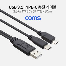 ileum^mComs 2 in 1 멀티 충전 케이블 30cm 전용 USB 2.0 A to C타입+마이크로 5핀 Y형 폰케이블 C타입 휴대 스마트 전송 핸드일medi*^, 1개