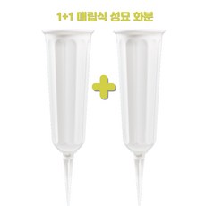 화예원 1+1 매립식 화병 성묘 조화 산소 묘지 화병 화분 벌초 납골당 꾸미기, 화병1+1