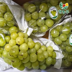 산지직송 샤인머스켓 당도보장, 가정용,4kg,4-8수, 1개