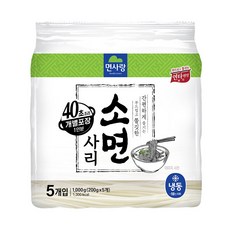 면사랑 소면사리 200g x 5입 냉동, 면사랑 소면사리 200g x 5입 (냉동), 1kg, 1개