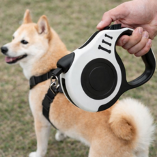 소소하우 산책필수 꼬임방지 자동 리드줄, 1개, 화이트