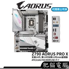 GIGABYTE 技嘉 Z790 AORUS PRO X DDR5 主機板, 1個