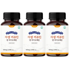 자생 커큐민 앤 바이오페린, 3개, 120정