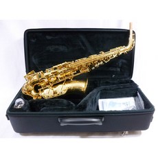 YAMAHA YAS-480 進階中音薩克斯風 全配件組 (另有YAS280可選), 1個, 金色