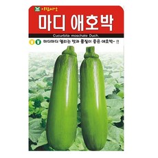 아람종묘 마디애호박 씨앗 20립, 1개