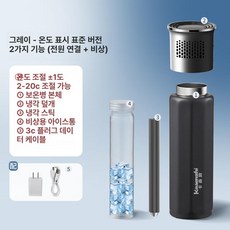 휴대용 인슐린 냉장고 가정용 충전 약품함 온도표시, 그레이미니 표준 냉각봉 2, 1L