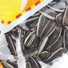 쏨숭 건조 해바라기씨(380g) 다람쥐밥
