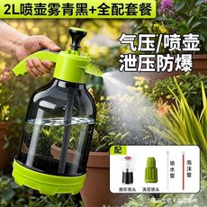 ZPER芝浦 3L 氣壓式噴壺 泡沫噴壺 洗車澆花清潔, 1個, 2L防爆增壓噴壺/霧青黑,基礎套餐【安全壓閥】, 霧青黑