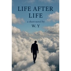 (영문도서)Life After Life Paperback, Wassim Youssef, English, 9781919366906