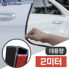 레아하브(ReAhav) 자동차 도어방음 풍절음고무몰딩 윈드키퍼 웨더스트립, 1개, P형_2M