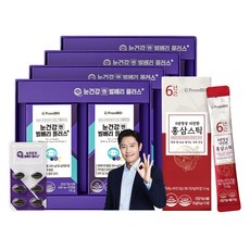 [본사출고] 프롬바이오 한효주의 눈건강엔 빌베리플러스 + 홍삼스틱, 240캡슐, 600mg