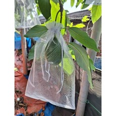 水果網袋、防蟲沙網袋、手工皂包裝、白色蔬果防咬網袋, 1個, 30公分乘40公分約50入裝