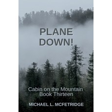 (영문도서)Plane Down! Paperback, Independently Published, English, 9798287124915