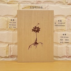 중형 오동나무상자(5호) 산양삼포장 장뇌삼포장 산삼포장, 오동나무박스5호+금색보자기, 1개