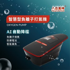 大洲水族 智慧型不斷電負離子打氣機 省電靜音 停電自動供氧 負離子淨化 魚缸打氣幫浦, 1個, BC-28小時