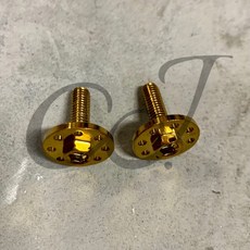 CJ M6 20mm螺絲 車牌螺絲 擋風板螺絲, 1個, 金 2支 Gold 2pcs
